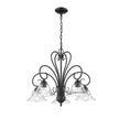 Golden - 8606-D5 BLK-CLR - Five Light Chandelier - Homestead - Matte Black