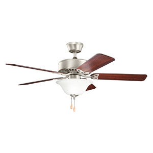 Traditional Fans