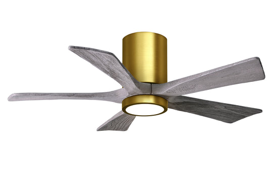 Matthews Fan Company - IR5HLK-BRBR-BW-42 - 42"Ceiling Fan - Irene - Brushed Brass