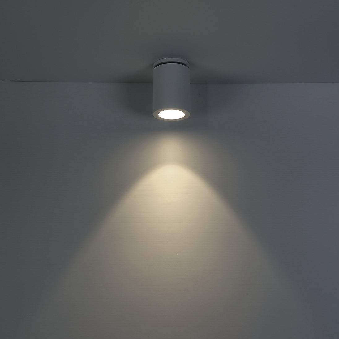 Eurofase - 30309-012 - LED Flush Mount - Lotus - White