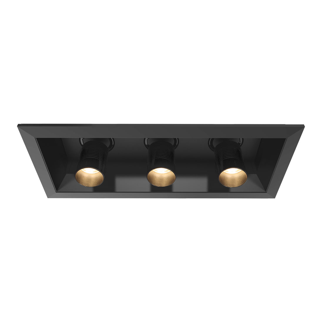 Eurofase - 30299-01 - Pulldown Recessed - Black/Black