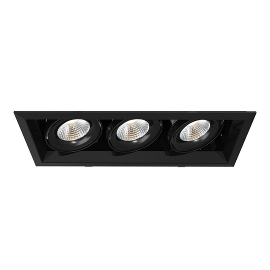 Eurofase - TE163LED-30-2-01 - LED Recessed - Black