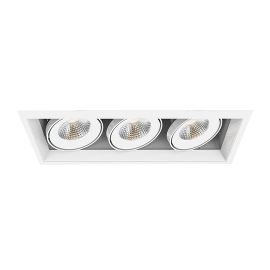 Eurofase - TE163LED-30-2-22 - LED Recessed - White