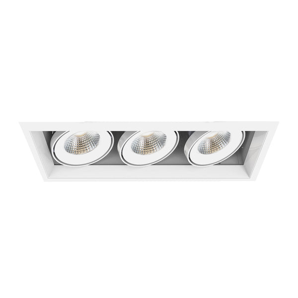 Eurofase - TE163LED-30-2-22 - LED Recessed - White