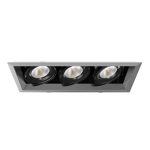 Eurofase - TE163LED-30-4-0N - LED Recessed - Platinum