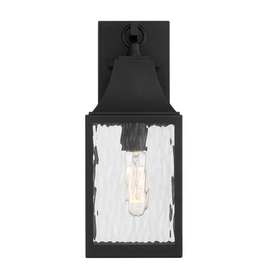 Designers Fountain - D265M-6EW-BK - One Light Wall Lantern - Blueberry Trail - Black