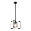 Designers Fountain - D276M-8P-MB - One Light Pendant Convertible - Kew Gardens - Matte Black