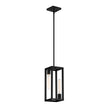 Designers Fountain - D224M-6P-MB - Two Light Pendant - Urban Oasis - Matte Black