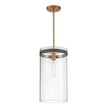 Designers Fountain - D227M-9P-OSB - One Light Pendant - Reflecta - Old Satin Brass