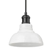 Golden - 0305-S BLK-VMG - One Light Pendant - Carver BLK - Matte Black