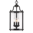 Golden - 1157-3P BLK - Three Light Pendant - Payton BLK - Matte Black