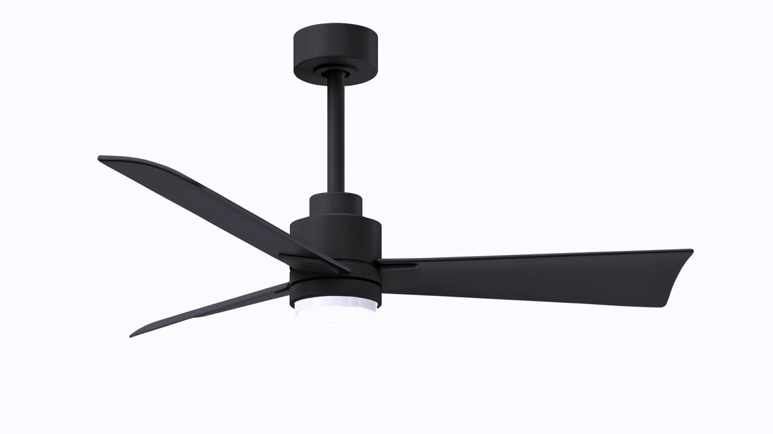 Alessandra - LK 42" Matte Black Matte Black Blade Finish